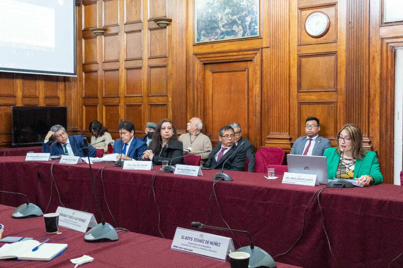 Decana del CALSUR participó en la séptima sesión ordinaria de la Comisión de Justicia y Derechos Humanos