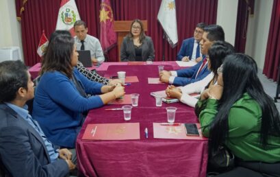 Decana participó en la reunión de trabajo con la Secretaría Técnica de la Comisión Especial de Implementación del Código Procesal Penal del MINJUSDH