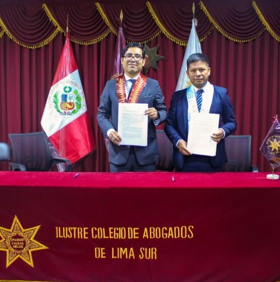 El Ilustre Colegio de Abogados de Lima Sur y el Ilustre Colegio de Abogados de Apurimac, suscriben acuerdo de cooperación institucional