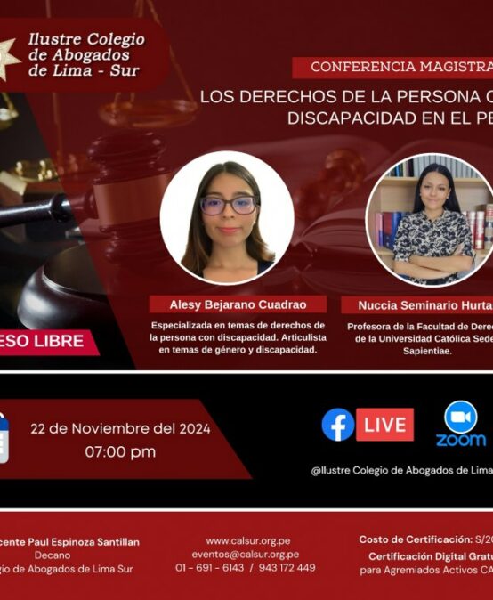 Los derechos de la persona con discapacidad en el Perú