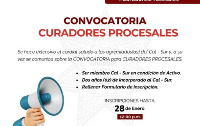 Convocatoria para Curadores Procesales 2025