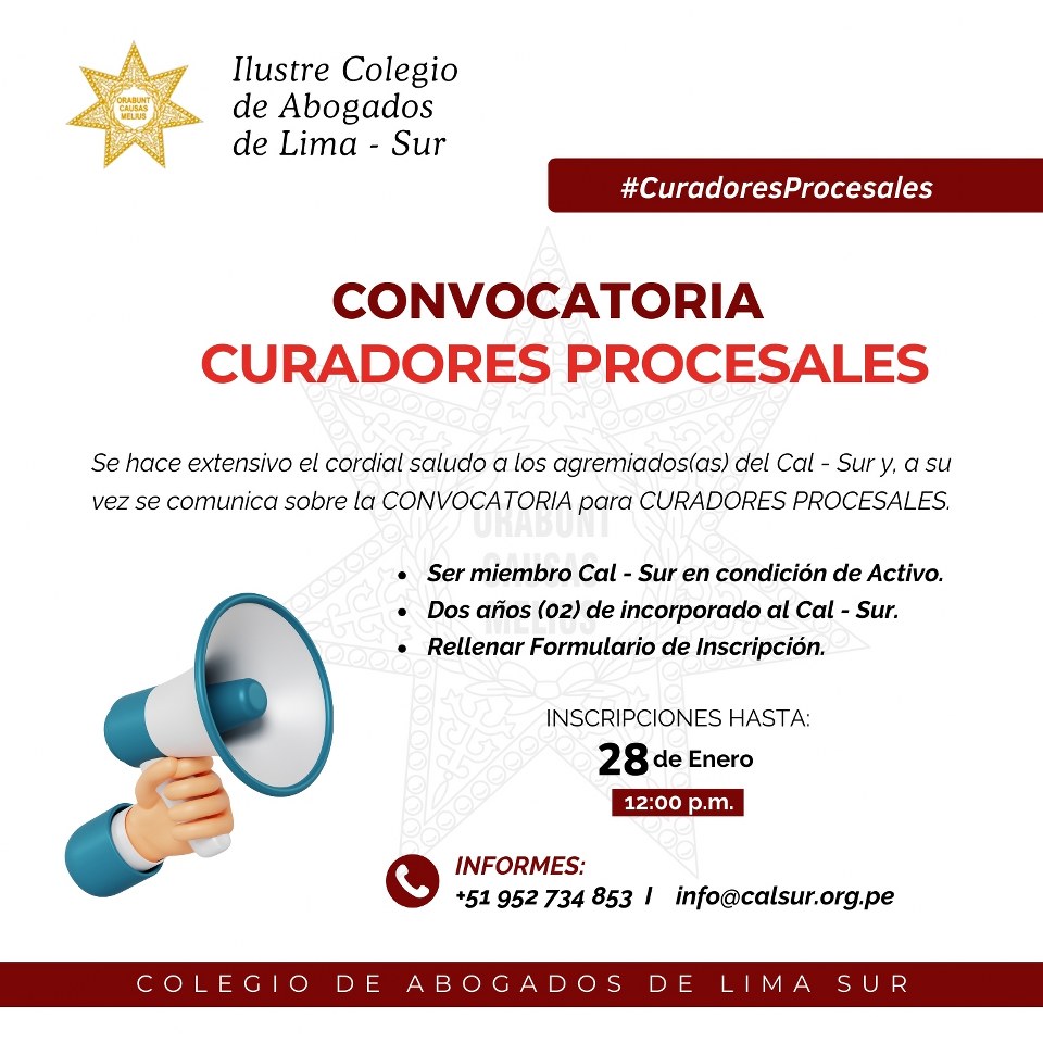 Convocatoria para Curadores Procesales 2025